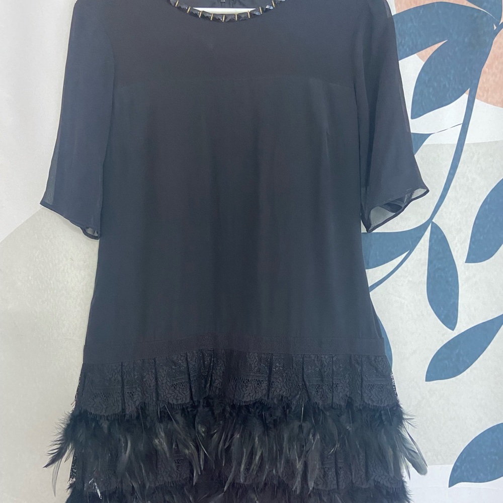 Chic Black Feathered Flapper Dress